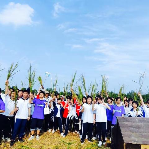 弘扬农耕文化 致力乡村振兴