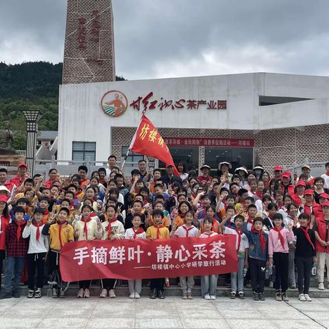 “手摘鲜叶，静心采茶”暨坊楼镇中心小学六年级研学旅行活动