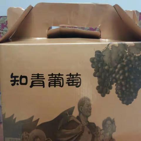 知青葡萄园一行