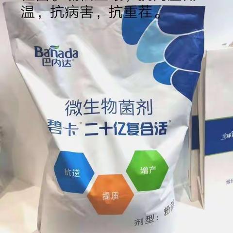 碧卡二十亿复合微生物菌剂销售为什么那么火爆？