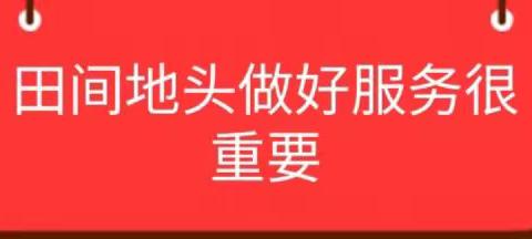 聚焦河北巴内达优秀市场服务篇🎉🎉