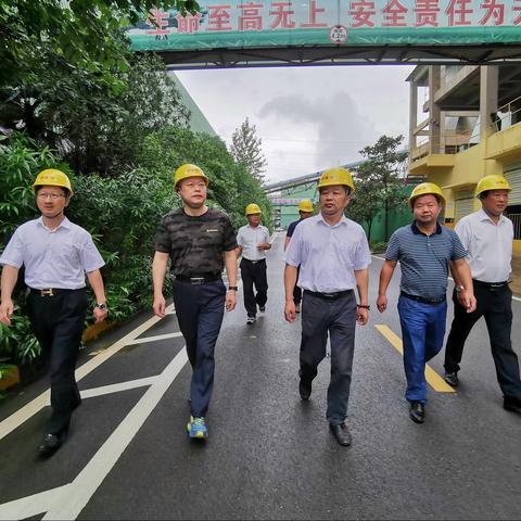 湖北省经济信息化厅蔡小勇领导一行莅临娲石集团阳新片区视察指导工作