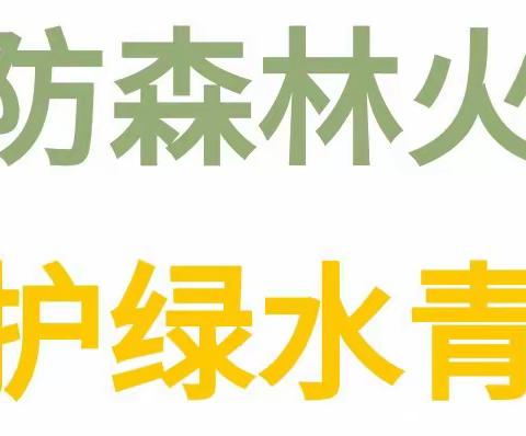 严防森林火灾，守护绿水青山——陆川县特殊教育学校《森林防火致中小学生及家长一封信》