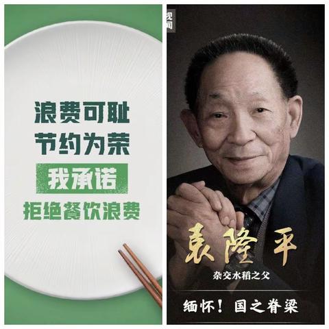 光盘行动缅怀袁隆平院士