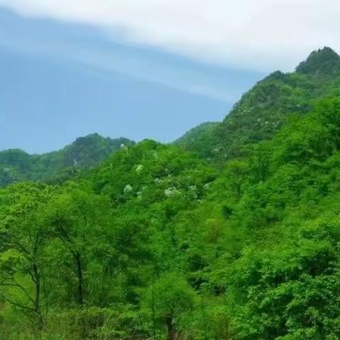庙川春色               娘娘坝上庙川穿越麻沿河杨坝   猫王户外  2015.5.17