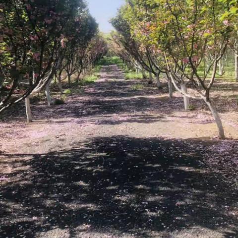 完美的一天——2023年4月16日小溪姐参加研学活动纪实