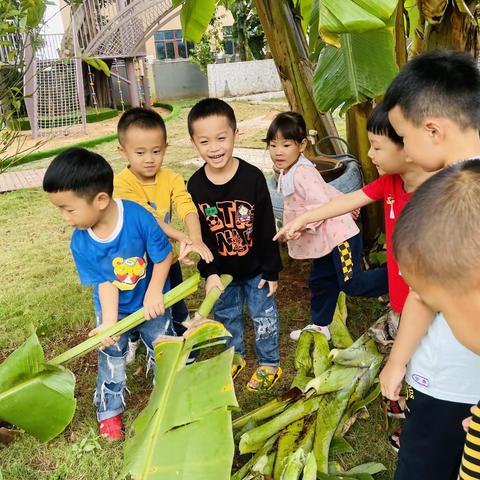 🌈“亲近自然，收获快乐”——大二班摘香蕉记🍌