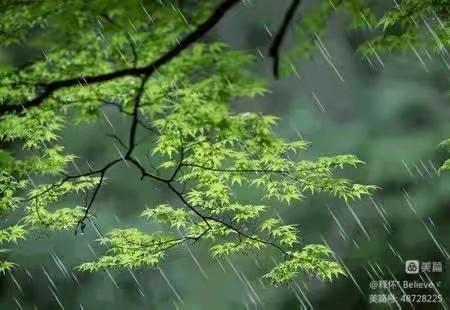 梦中的细雨