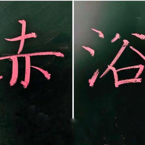 【强师工程】潜心耕耘的“植树人·教师”勤抓“粉笔字”训练，提升教师基本功