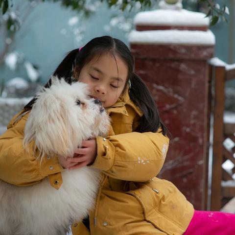 2018.12.31大雪中的洋洋和小米