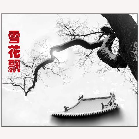 雪 花 飘