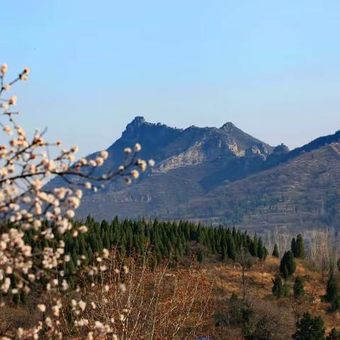 踏春赏花何处去，牧童遥指杏花村