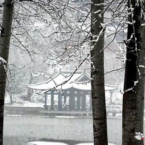 雪