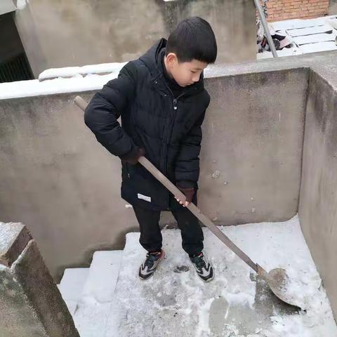 实验二小四二班优秀五会娃张子轩寒假实践作业展