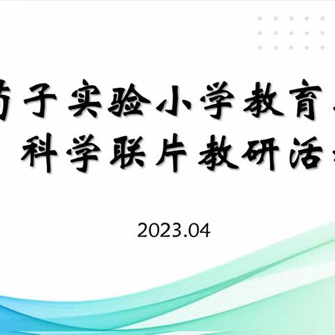 教以共进，研以致学——丛台区荀子实验小学教育集团科学联片教研活动