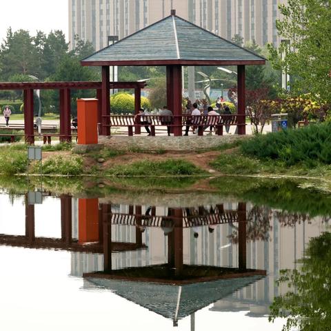 雨后的植物园