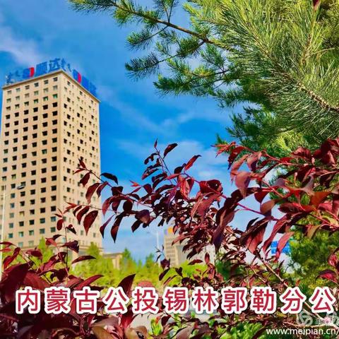 锡林郭勒分公司职工诗赋集锦  （第138期）