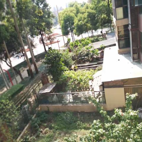 万达旁春天公馆负二跃二，前后花园，四房五房随便改，118万，子母车位单算，发财热线68606