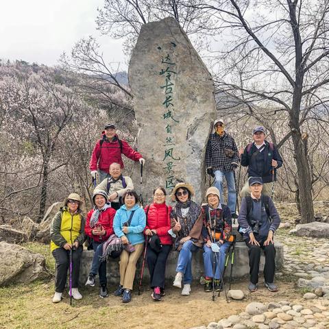 游八达岭古长城 赏美丽杏花谷