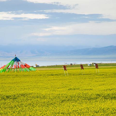 青海行（六）蓝色湖泊 悠久寺院