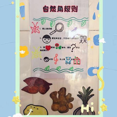 潍坊学院翰林幼儿园王羲之班“学习力”自然课程--我种植，我管理，我收获