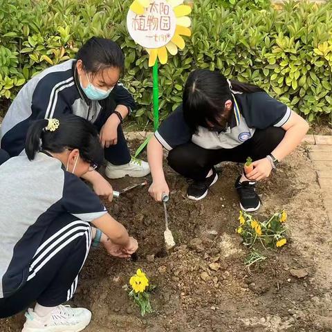 惠济劳动专辑——惠济一中“劳动最美丽，奋斗最青春”