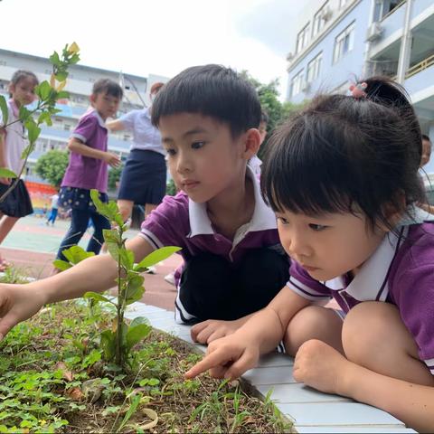 背起小书包，参观小学