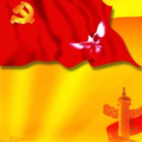 强化党建引领   促进全面发展