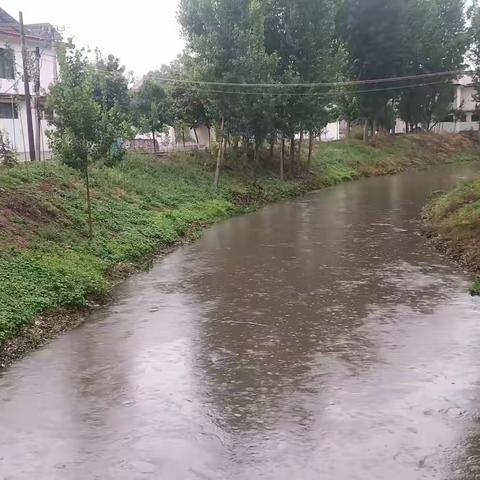 西金城村：人居环境整治 共建美丽乡村！