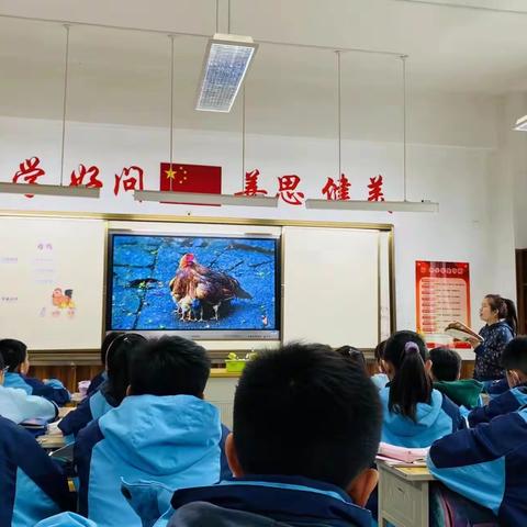 精彩课堂，共同成长——正阳街小学四年级语文组轮教课