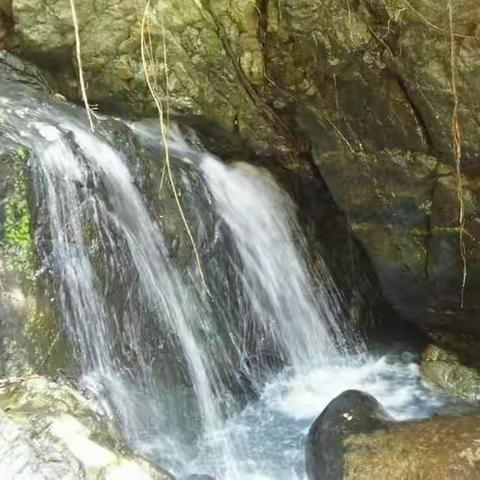 东方市旅文局到罗旺村考察观音岭的旅游资源