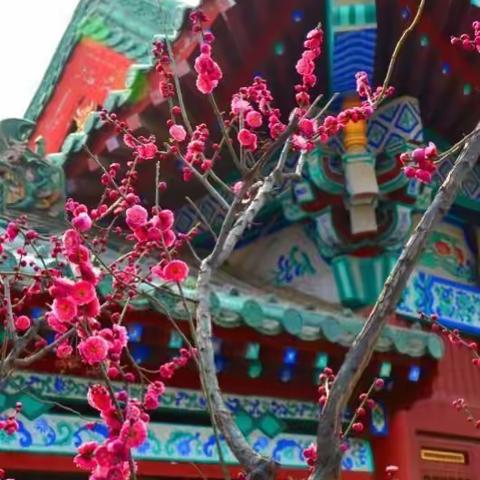 至诚的美篇