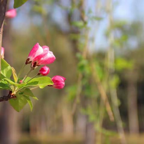 与师傅的拍摄记录—西湖1