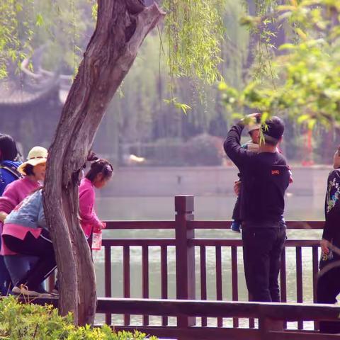 与师傅的拍摄记录——启封故园2