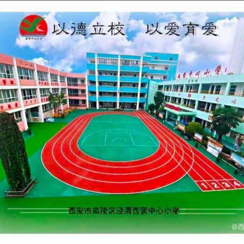 绽师德之美    扬团队之彩——泾渭西营中心小学教师专业技能素养培训会