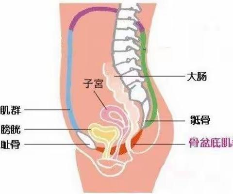 一套操打败你偷偷摸摸的漏尿