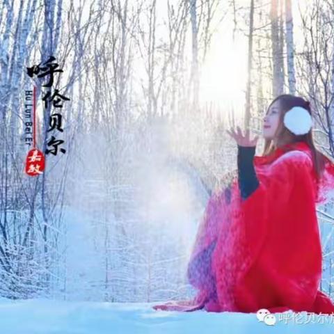 【北方雪原-呼伦贝尔】冬季大穿越、高端品质7日游