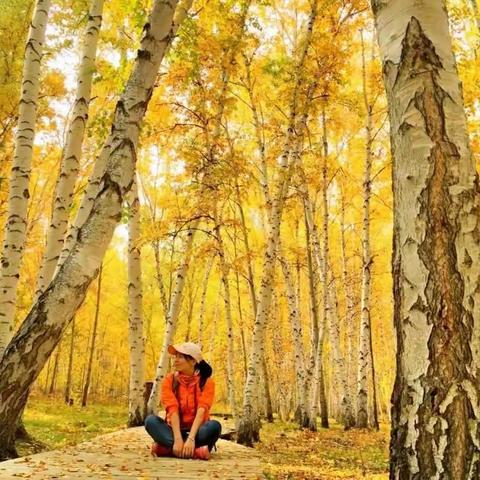 《秋》——呼伦贝尔7日纯玩之旅