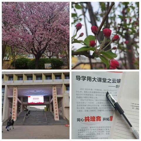 与海川同心共育