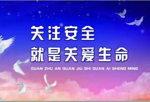 234班主题班会《安全第一课》