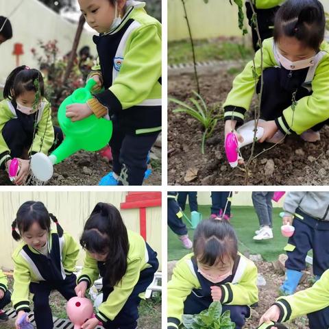 【春生万物 种植希望】蔡甸区旺斯达幼儿园植树节主题活动