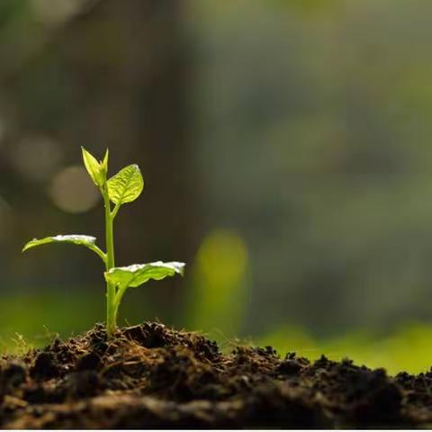 光山东城支行三月份“月月乐”