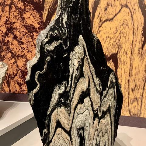 走进自然历史博物馆看看我们生存的地球