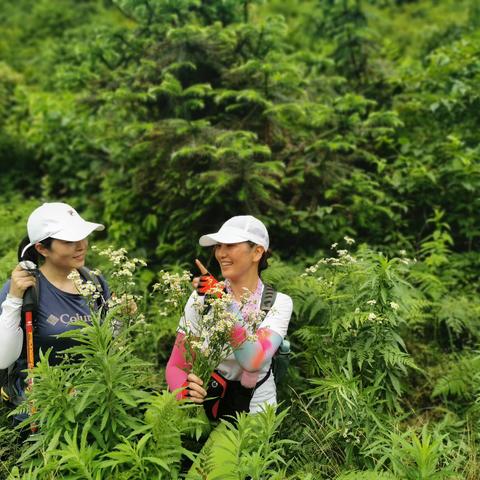 2020.6.20大乘山、祖师岭穿越