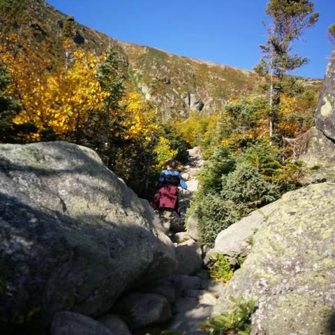 残夏，登华盛顿山