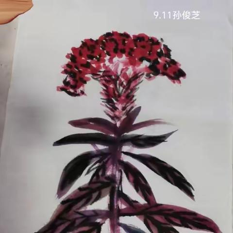 小语骨干先锋队孙俊芝九月份个人成长总结