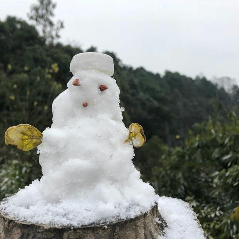 将玩雪进行到底