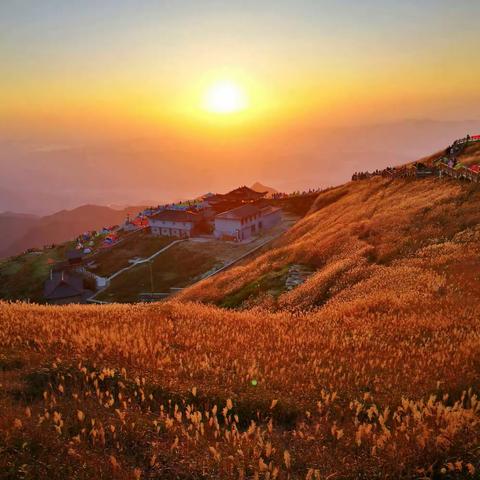 金秋武功山，瑟瑟草甸黄