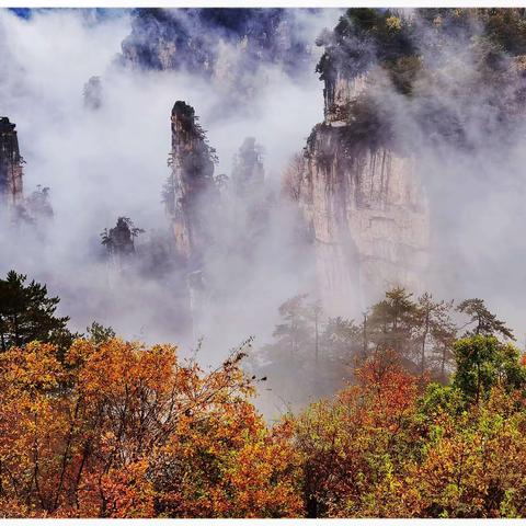 【手机摄影】湖南张家界武陵源风景名胜区天子山风景区2020年秋色美片