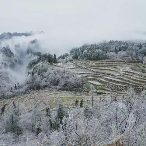 冰挂雾淞扮美张家界，等到您！